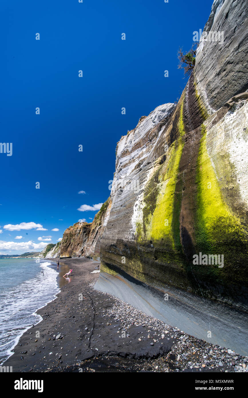 Couvert de mousse falaises blanches de calcaire en Nouvelle-Zélande, New Plymouth Banque D'Images