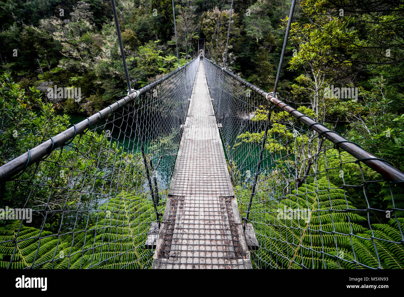 Rope Swing Pont au-dessus de la rivière bleue dans Abel Tasman, Nouvelle-Zélande Banque D'Images