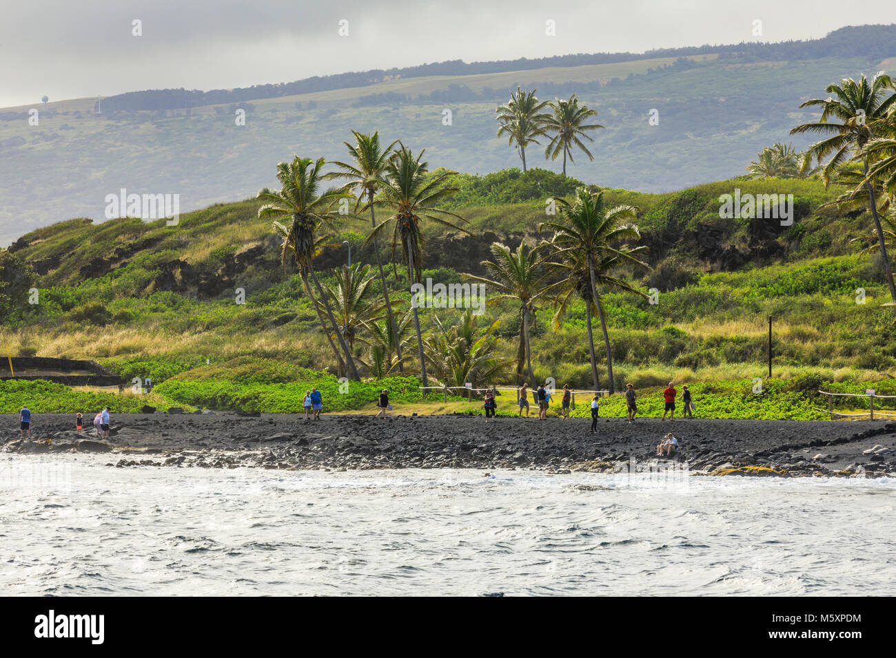 Parc d'État de 6108 sur la route de Hana, Maui, Hawaii, USA Banque D'Images