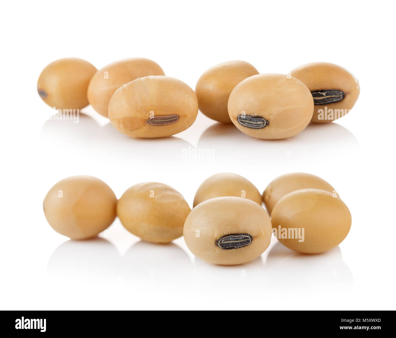 Soja sur fond blanc Banque D'Images