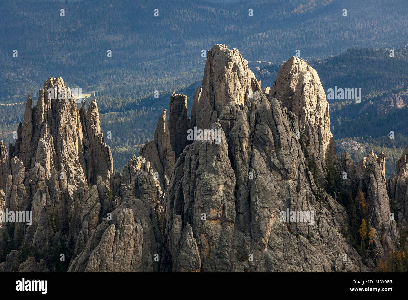 000387-00 SD...LE DAKOTA DU SUD - La Cathédrale Spires dans Custer State Park. Banque D'Images