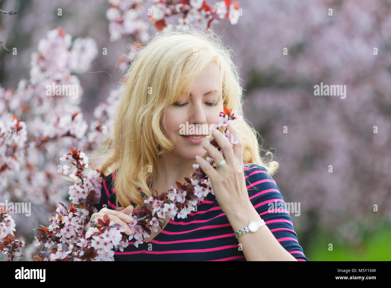 Portrait de femme de race blanche avec de longs cheveux blonds qui sent un bouquet fleurs de prunier, les yeux vers le bas Banque D'Images