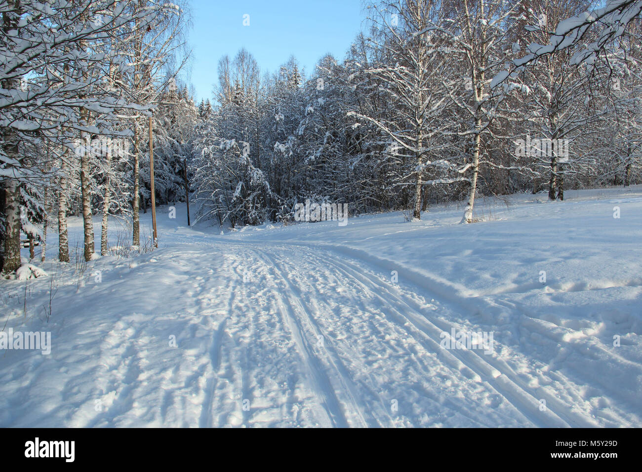 Pistes de ski en forêt suédoise Banque D'Images