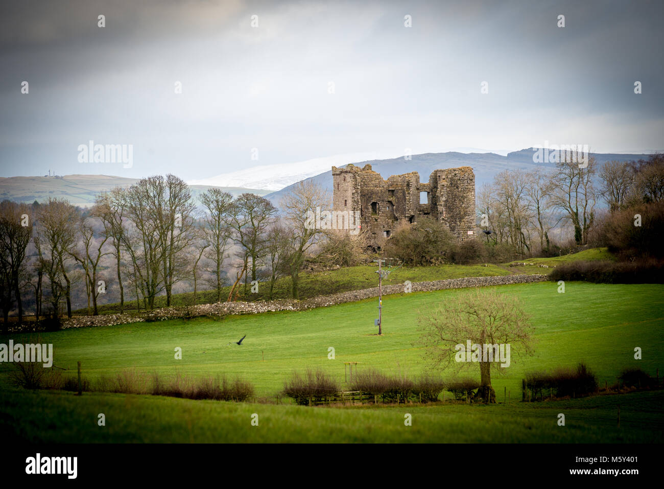 Arnside Tower, une vieille tour en ruine piel construit à partir de pierre calcaire locale dans le nord-ouest de l'Angleterre. Banque D'Images
