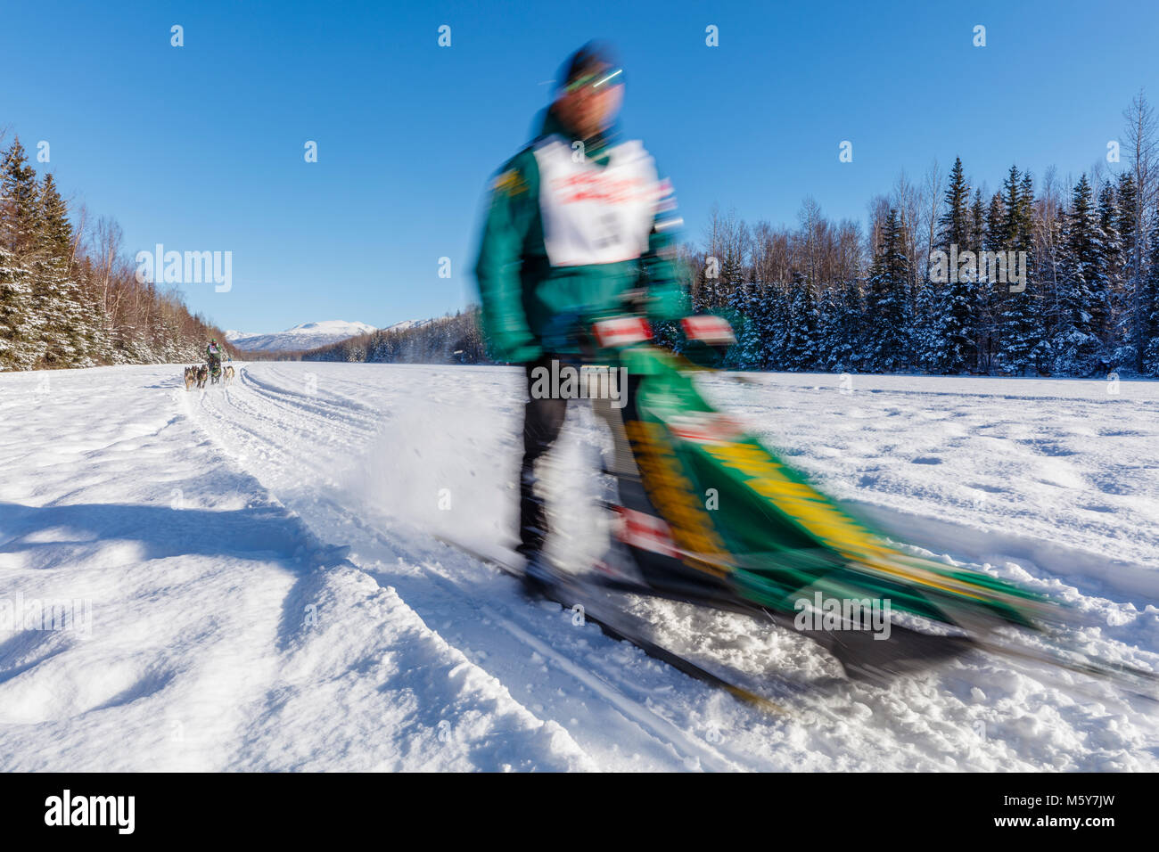 Musher Michael Tetzner concurrentes dans le Rendezvous de la fourrure de chien de traîneau au Championnats du monde Campbell Airstrip à Anchorage en Alaska. Banque D'Images