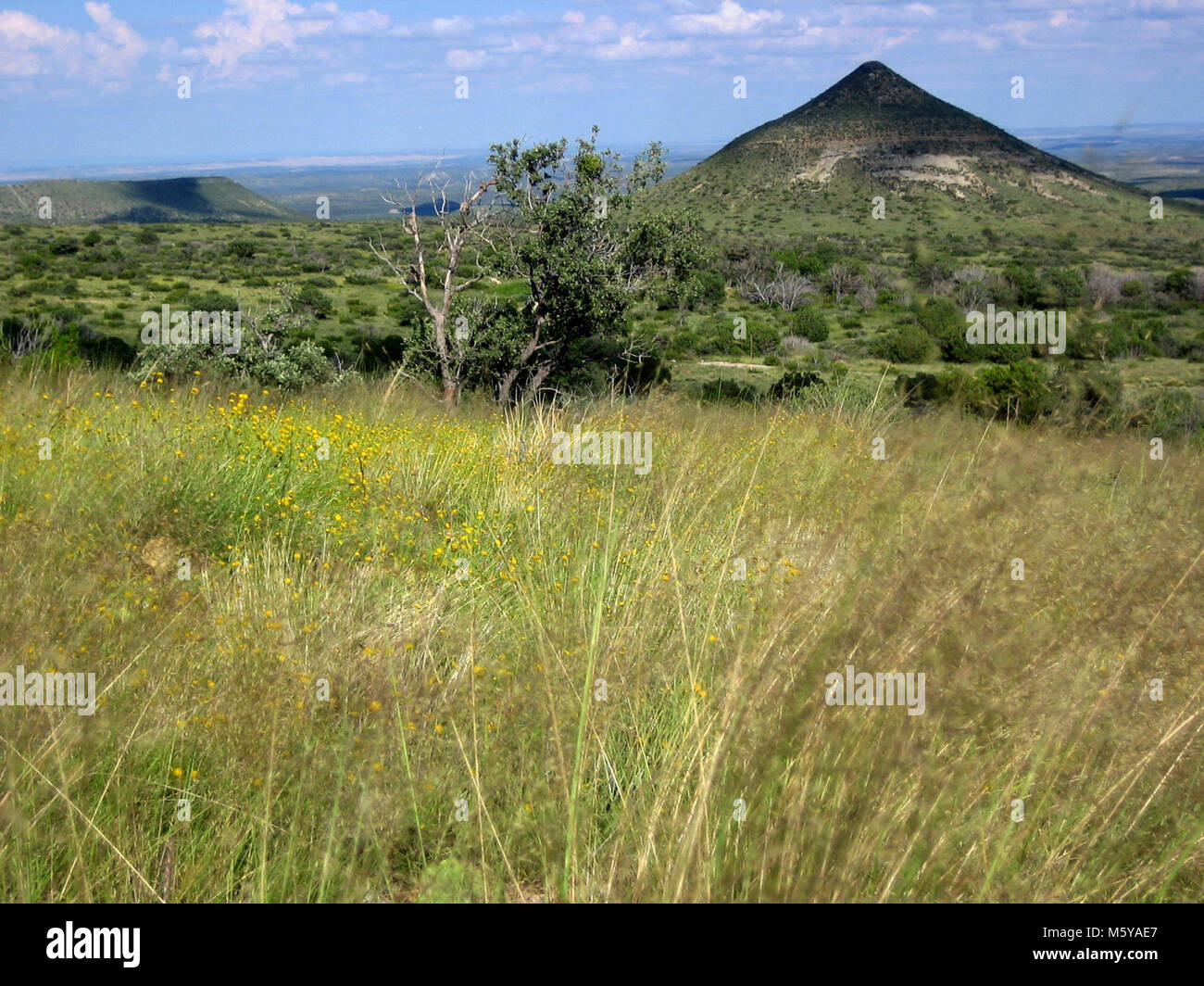 La colline du mamelon de Smith Springs Trail. Banque D'Images
