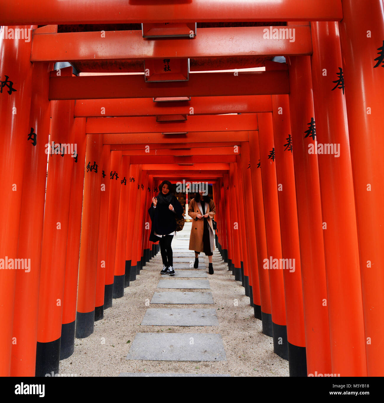 La colorée Kushida Shrine à Hakata, Fukuoka, Japon. Banque D'Images