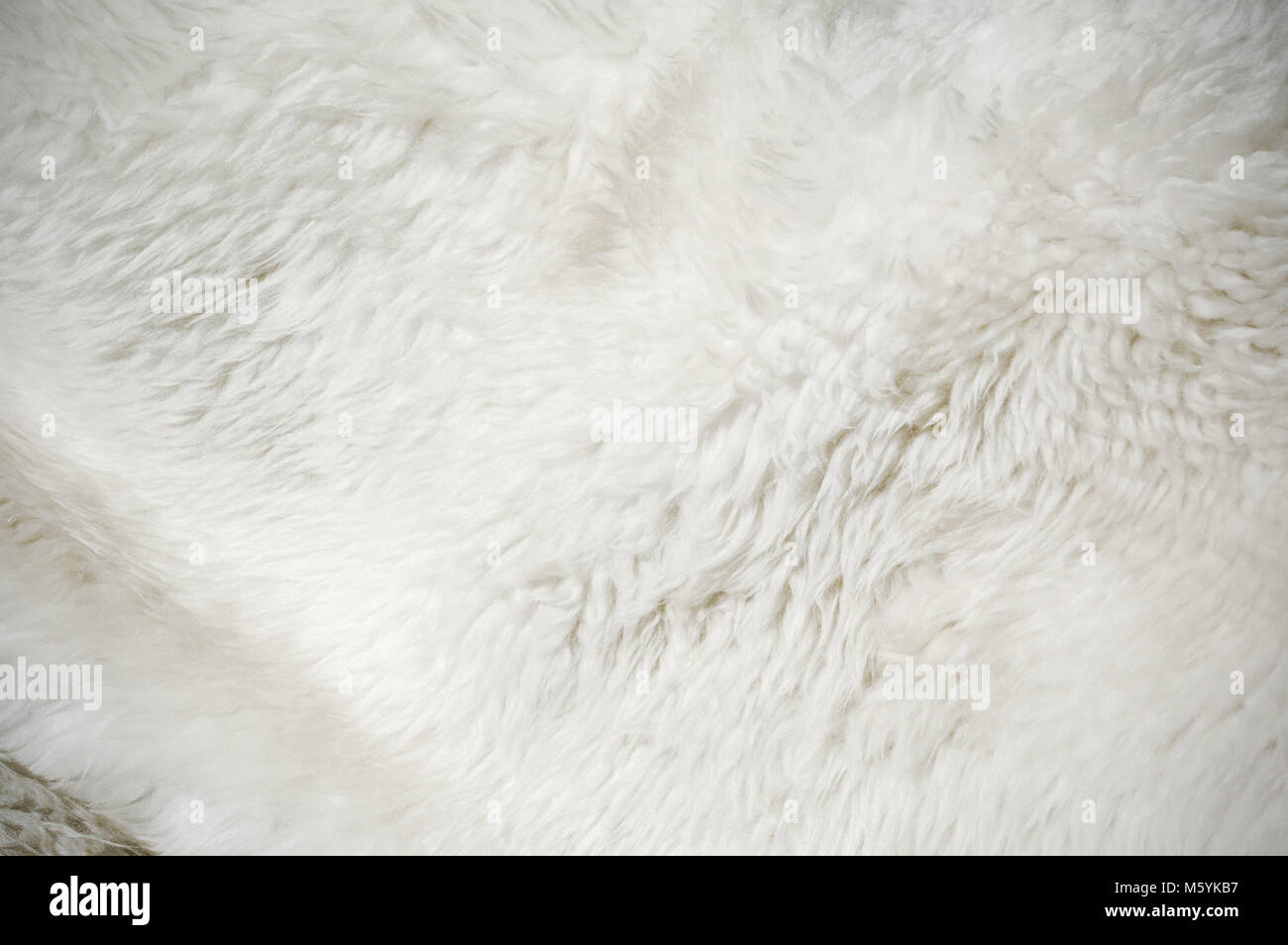 Fourrure douce blanc texture background Banque D'Images Fourrure douce blanc texture background Banque D'Images