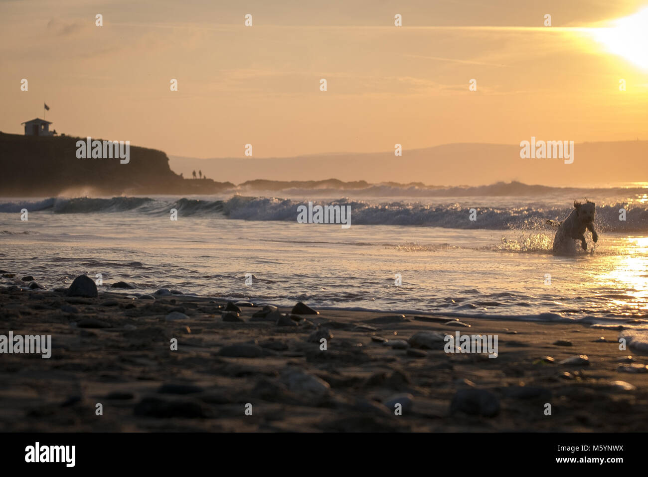 Il y a une vague venant Banque D'Images