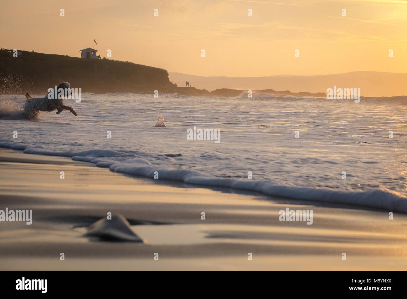 Je vais le faire que Banque D'Images