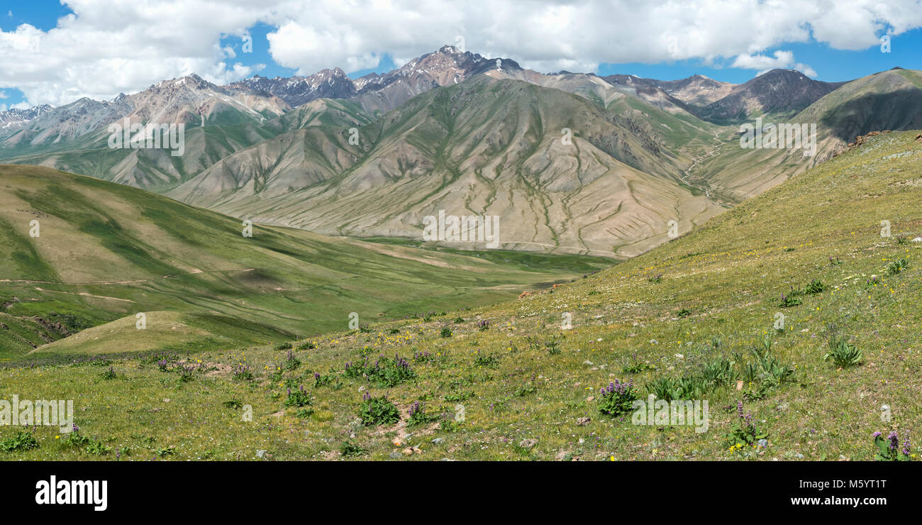 Route vers le lac Kol Chanson, province de Naryn, du Kirghizistan, de l'Asie centrale Banque D'Images Route vers le lac Kol Chanson, province de Naryn, du Kirghizistan, de l'Asie centrale Banque D'Images