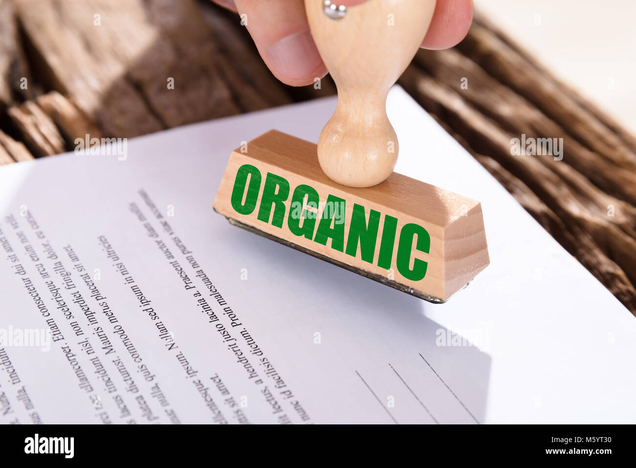 Close-up of a Green Stamp organique sur le document plus de 24 Banque D'Images