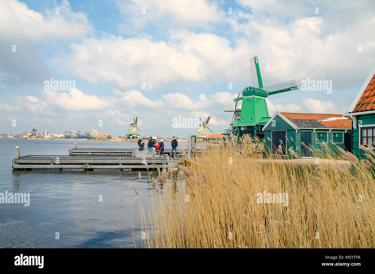 Dutch windmills dans de l'herbe sèche et le vent Banque D'Images