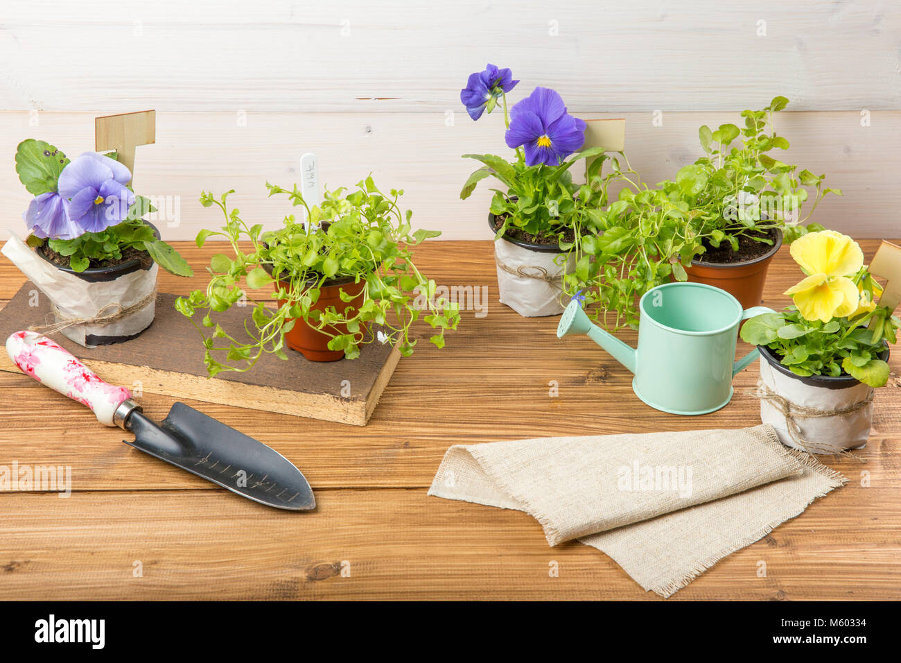 Outils de jardinage, arrosoir, semences, plantes avec signe Bonjour Printemps vintage sur table en bois. Printemps dans le jardin avec arrière-plan concept sp texte libre Banque D'Images