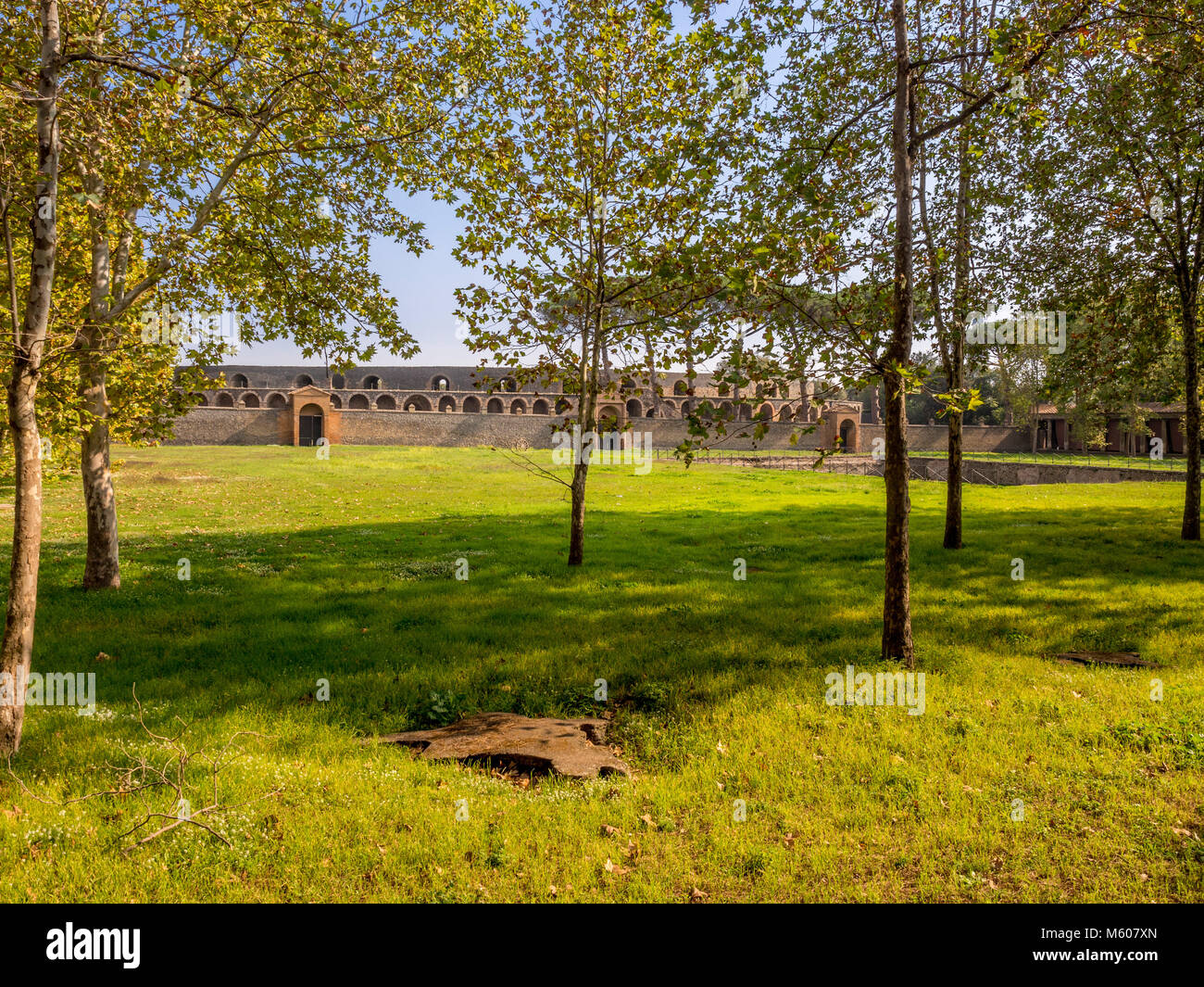 Palestra Grande, ruines de Pompéi, Italie. Banque D'Images