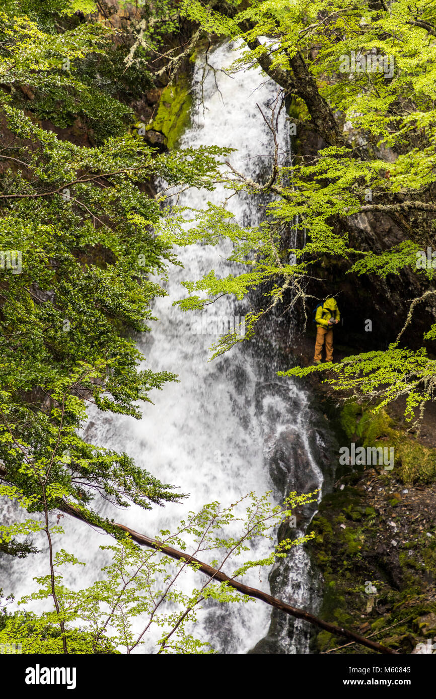 Un sentier randonneur explore la Cascada Velo de la novia, Chemin d'accès le velo de la novia Cascade ; Ushuaia, Argentine Banque D'Images