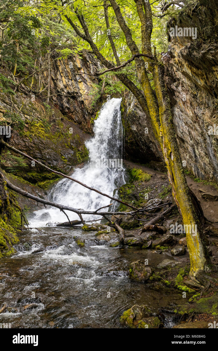Un sentier la Cascada Velo de la novia, Chemin d'accès le velo de la novia Cascade ; Ushuaia, Argentine Banque D'Images