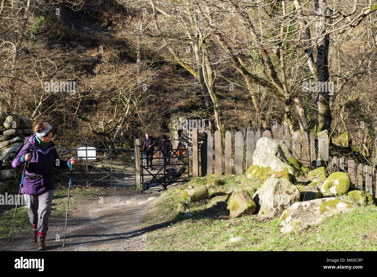 Les promeneurs sur la piste sentier à Aber Falls ou dans Coedydd Rhaeadr Fawr Aber Réserve naturelle nationale. Abergwyngregyn, Gwynedd, Pays de Galles, Royaume-Uni, Angleterre Banque D'Images