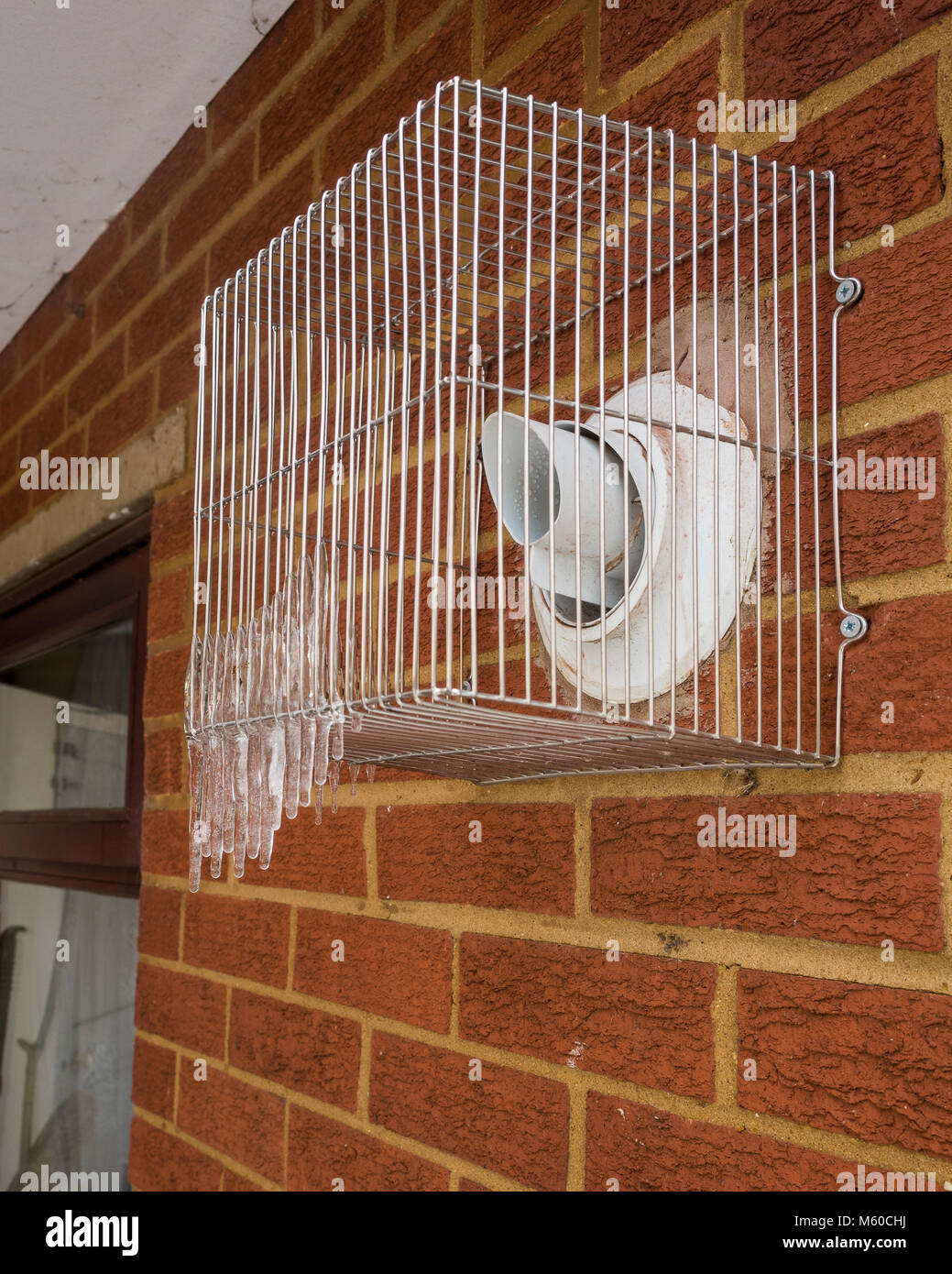 Ipswich, Angleterre. Formulaire de glaçons sur les évents de la chaudière que les personnes âgées d'essayer de garder au chaud quand 'La Bête de l'Est' froid en provenance de Sibérie hits au Royaume-Uni. Les vapeurs se condensent sur la chaudière de l'évent de sa cage de protection, qui fait les glaçons qu'ils gèlent. Banque D'Images