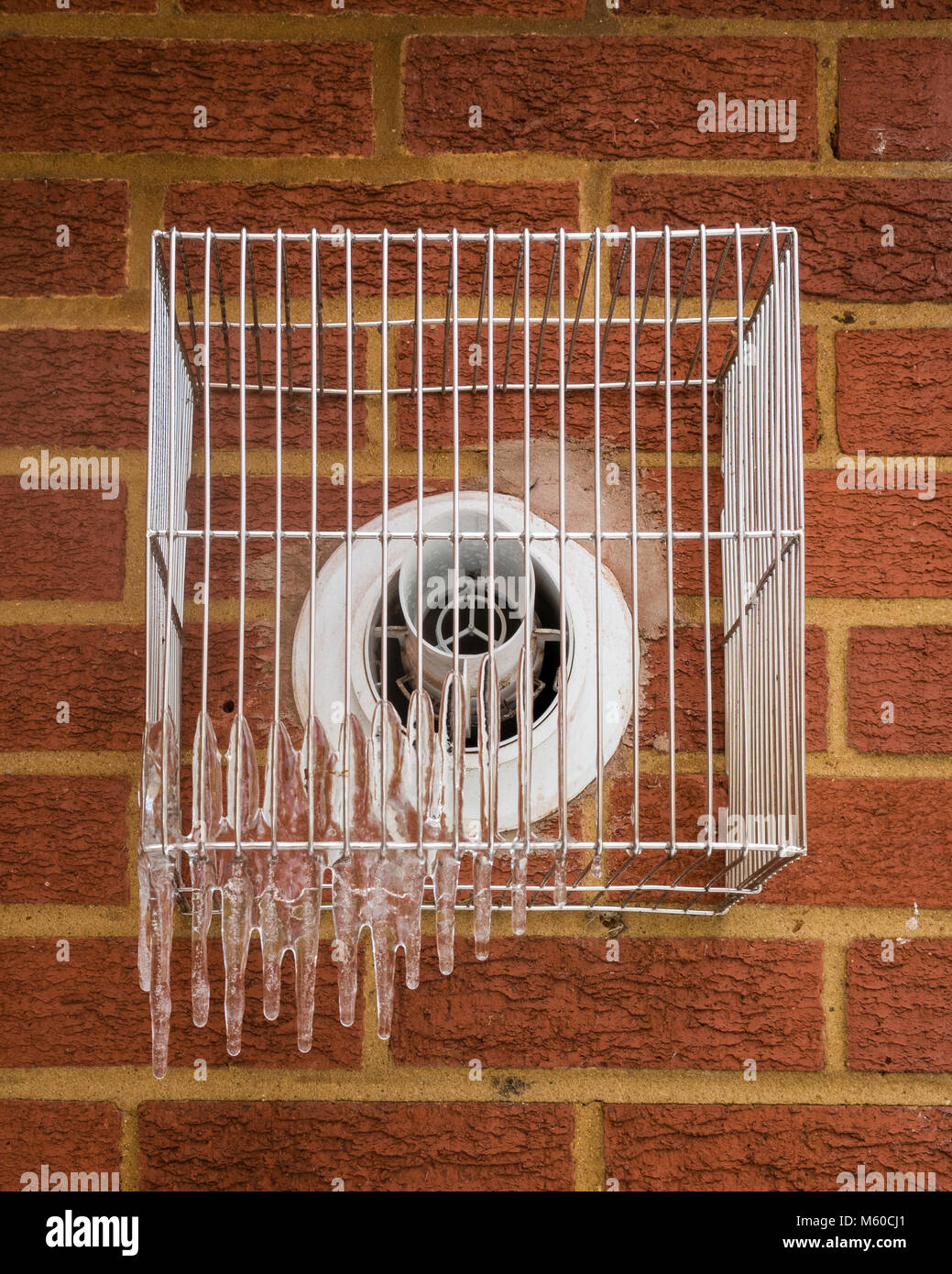 Ipswich, Angleterre. Formulaire de glaçons sur les évents de la chaudière que les personnes âgées d'essayer de garder au chaud quand 'La Bête de l'Est' froid en provenance de Sibérie hits au Royaume-Uni. Les vapeurs se condensent sur la chaudière de l'évent de sa cage de protection, qui fait les glaçons qu'ils gèlent. Banque D'Images