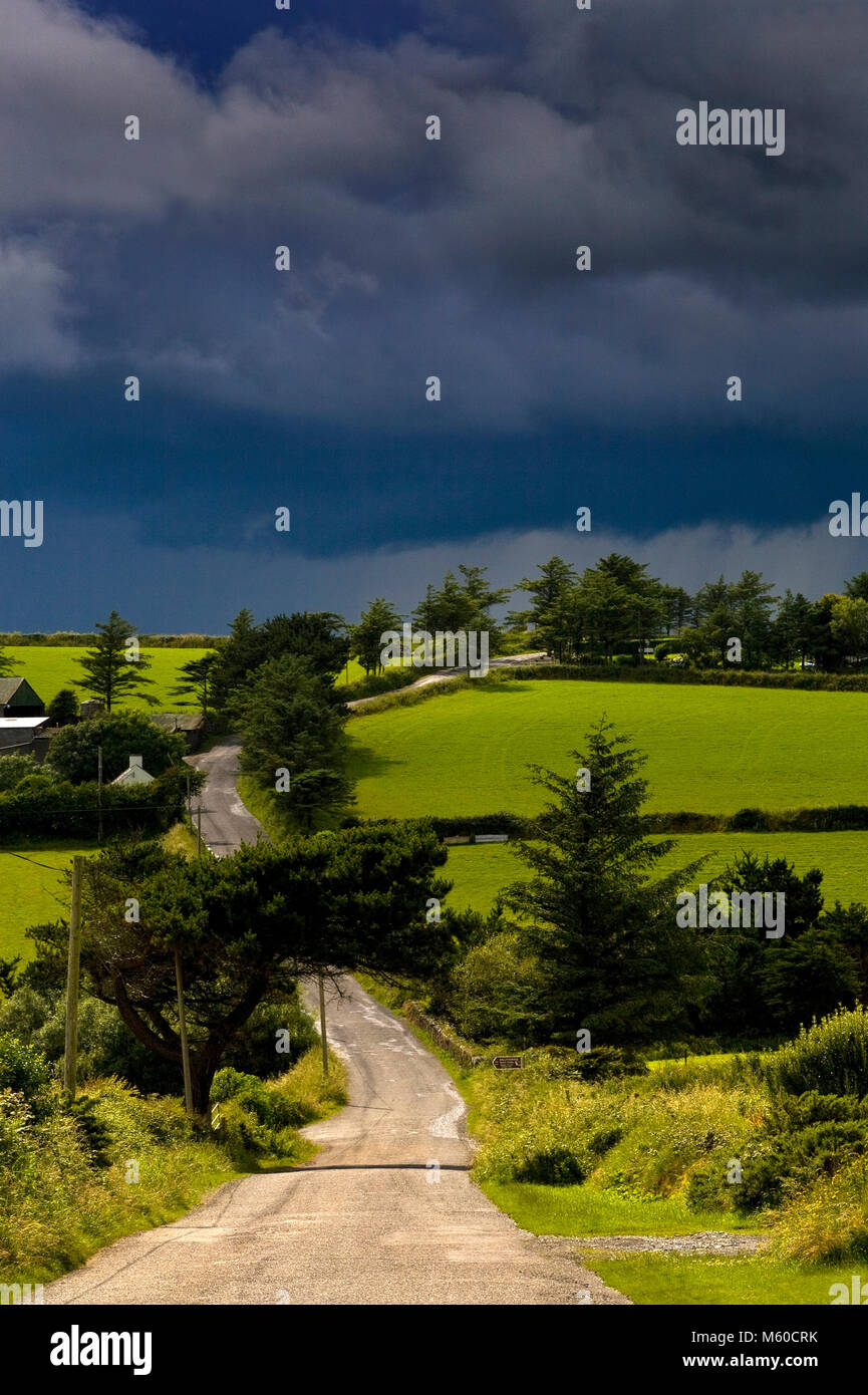 Menaces sur une route de campagne à Ballydowane, près de Bunmahon, le Copper Coast, comté de Waterford, Irlande Banque D'Images