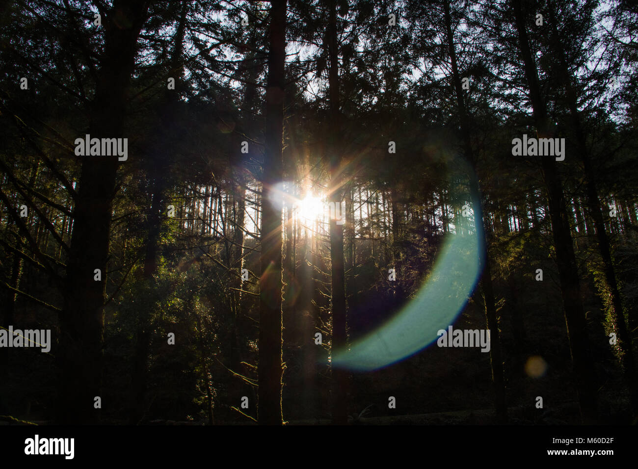 Cubert Banque D'Images