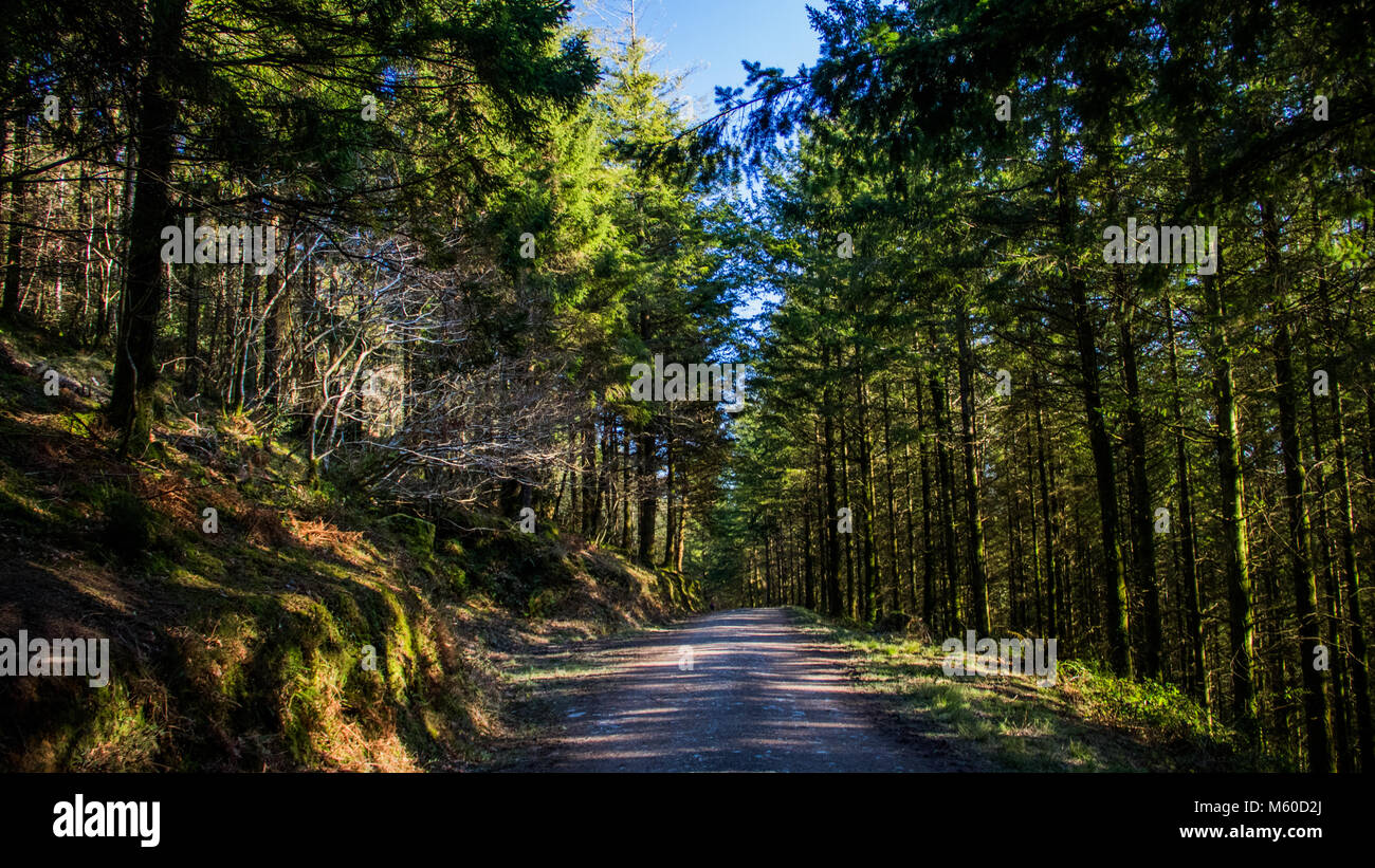 Cubert Banque D'Images