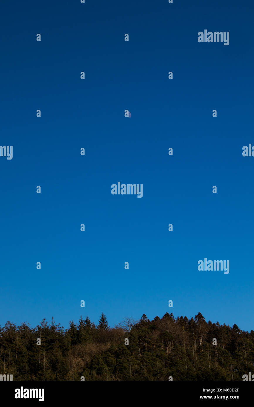 Cubert Banque D'Images