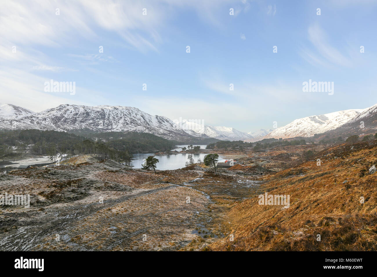 Glen Affric (gaélique écossais : Gleann Afraig) est un glen, ou la vallée, dans la région des Highlands de l'Écosse, à environ 15 miles (24 km) à l'ouest du Loch Ness. Banque D'Images