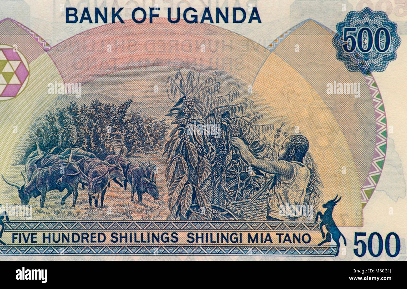 L'Ouganda cinq cents Shilling Bank Note Banque D'Images