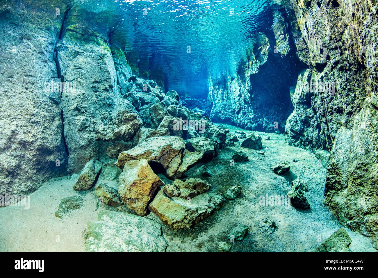 La plongée dans la fissure volcanique, Nesgja Asbyrgi, Parc National de l'Islande Banque D'Images