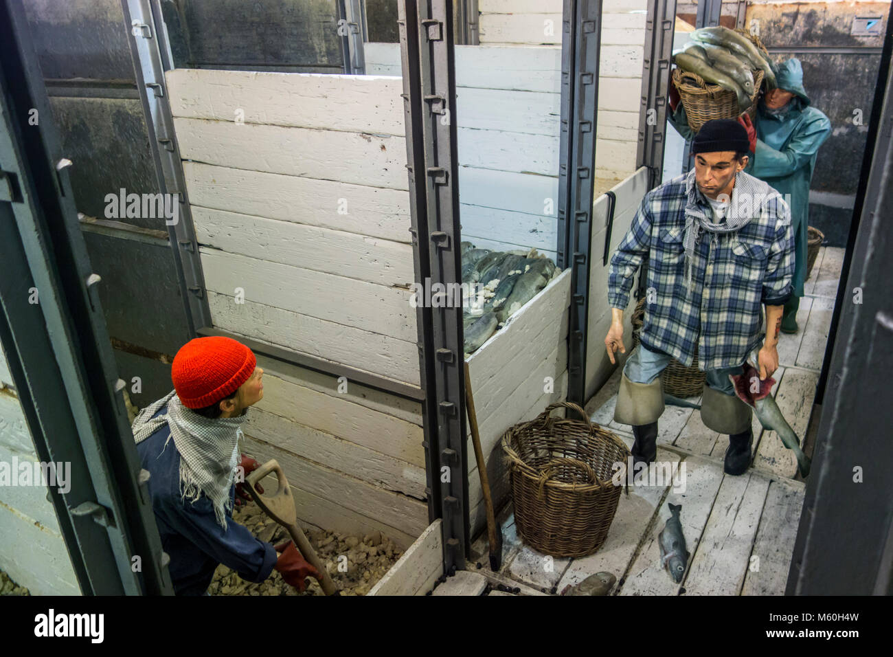 Dans la cale à poisson de l'équipage du chalutier Islande dernière Amandine, bateau de pêche rénové sert maintenant de musée interactif à Ostende, Belgique Banque D'Images