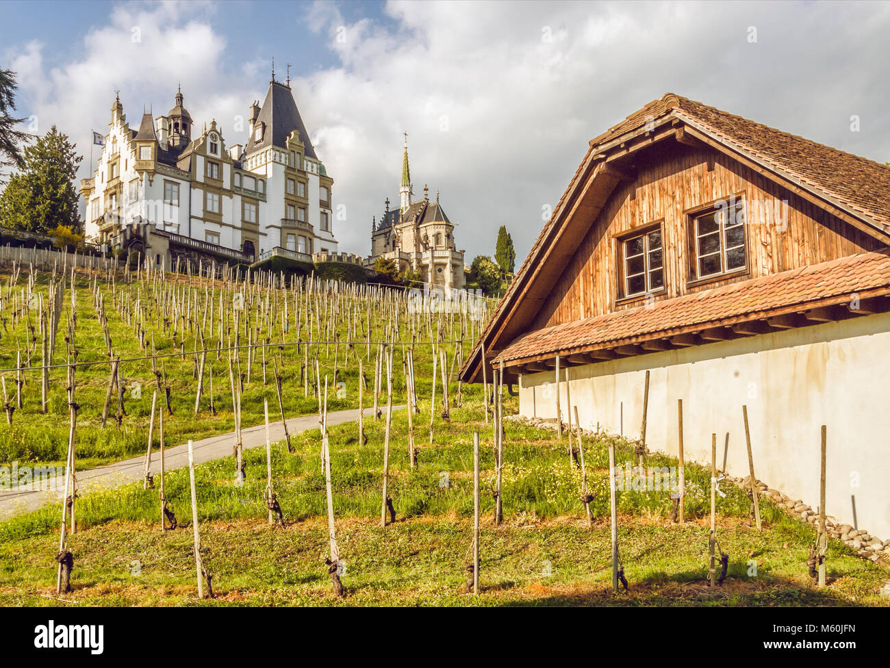 Vignobles au château de Meggenhorn, lac de Lucerne, Suisse Banque D'Images