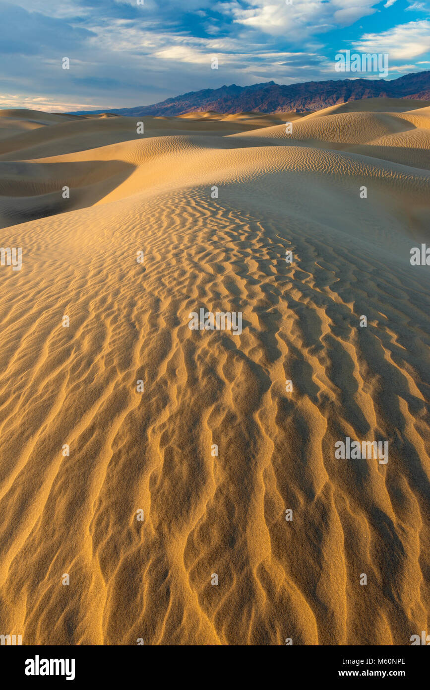 Mesquite Dunes, Death Valley National Park, Californie Banque D'Images