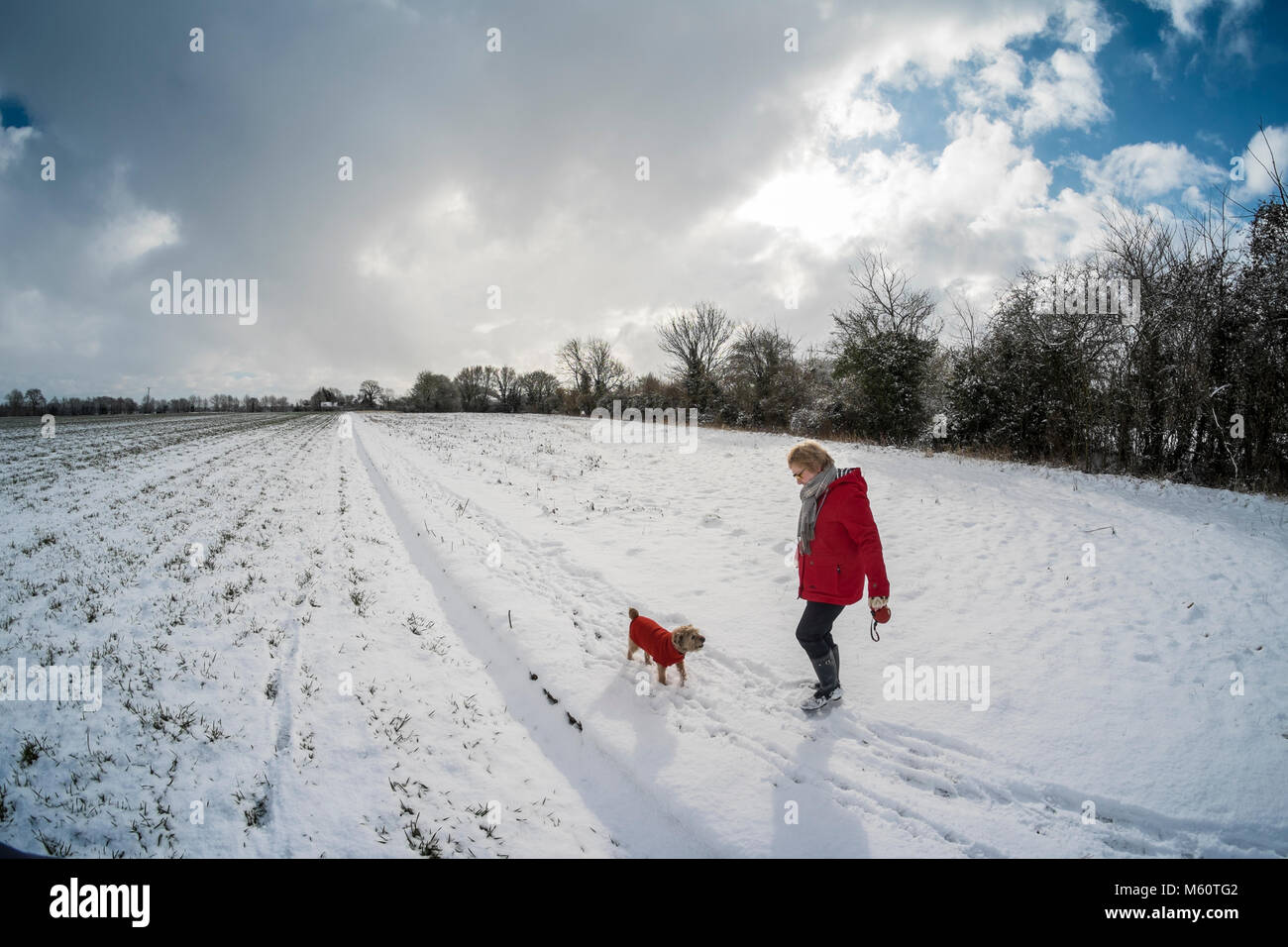 Hoxne, Suffolk, UK. Feb 27, 2018. Météo France : promenade de chiens dans la neige pendant 'La Bête de l'Est'. Banque D'Images