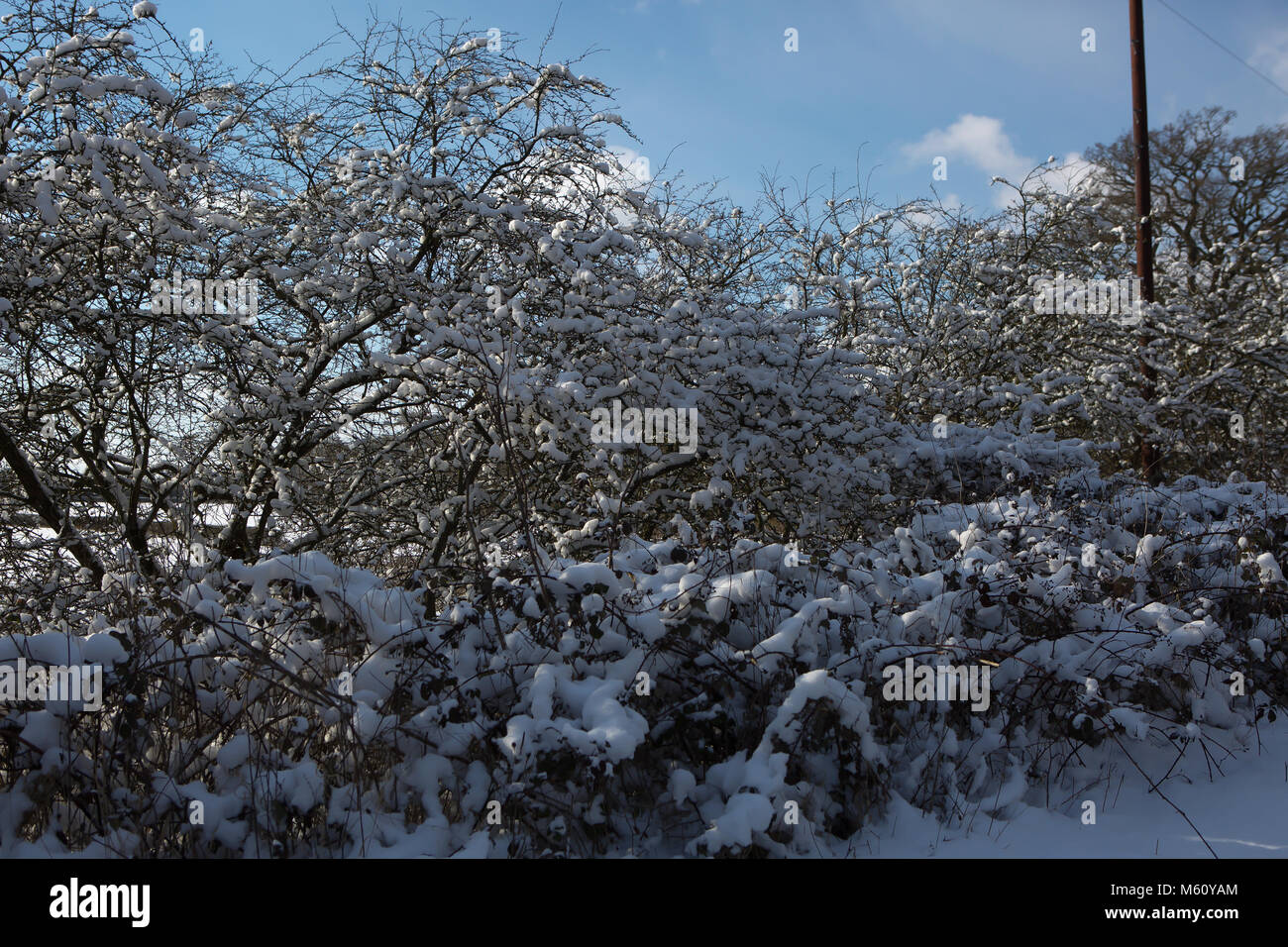 Edenbridge,UK,27 Février 2018 neige de Sibérie lourd,dans le Kent en tant que bête prévue de l'est passe au-dessus de la température la plus froide donnant au Royaume-Uni depuis 1986©Keith Larby/Alamy Live News Banque D'Images