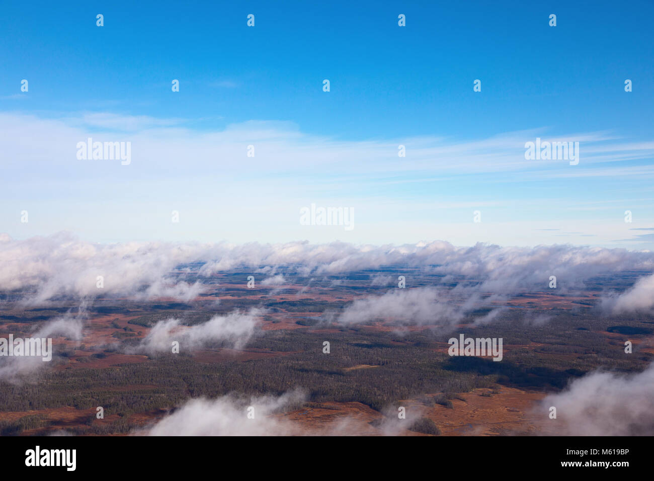 Vue d'en haut au-dessus des marais impraticables automne Banque D'Images