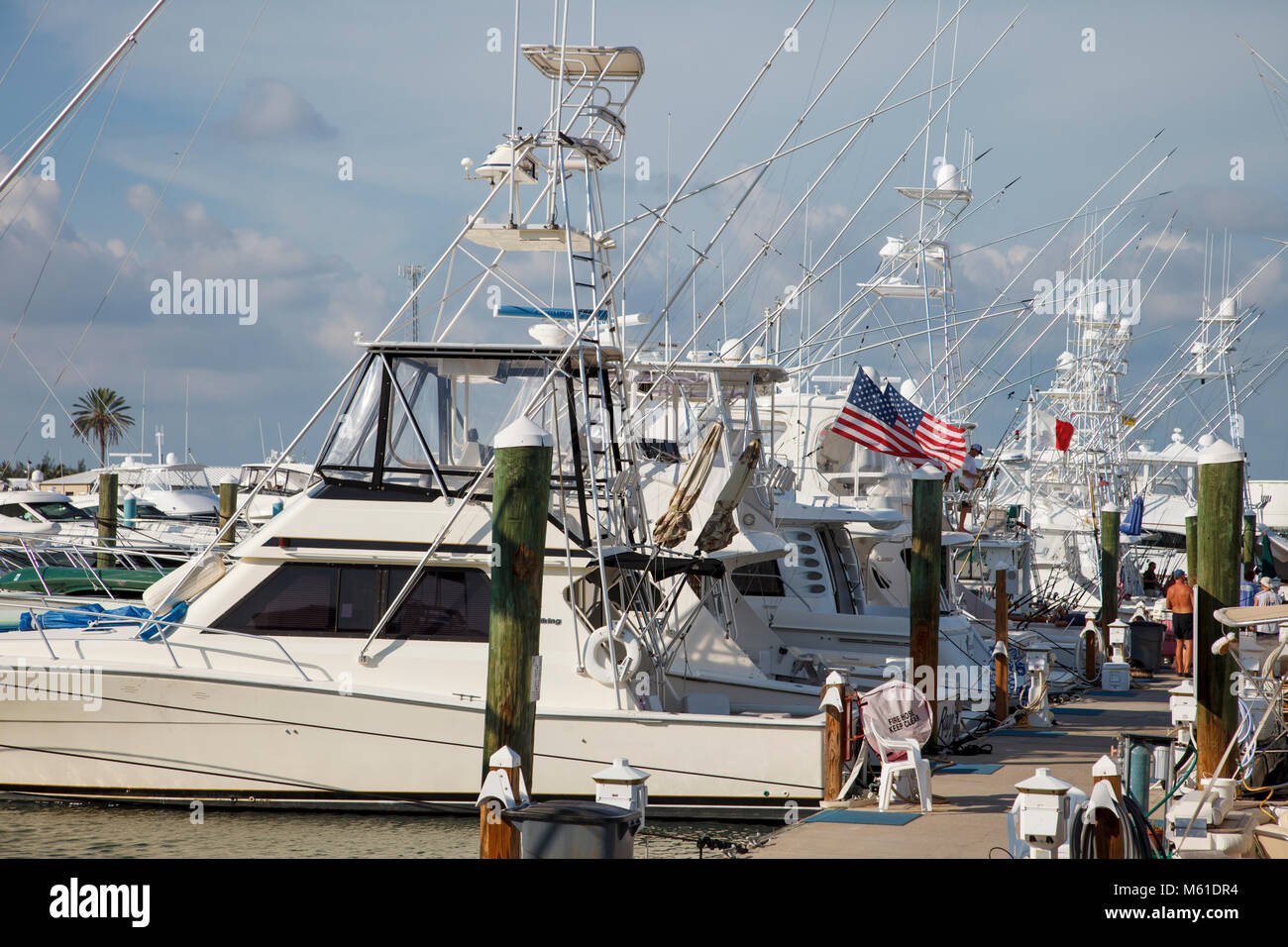 Bateaux de pêche sportive sont amarrés à Key West Bight le long du front de mer de Key West, Floride. Banque D'Images