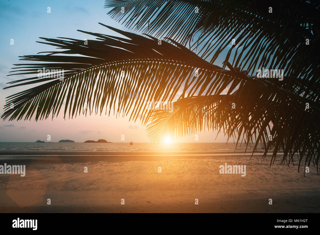 Coucher du soleil sur la plage de la mer tropicaux avec silhouette de feuilles de palmier. Banque D'Images