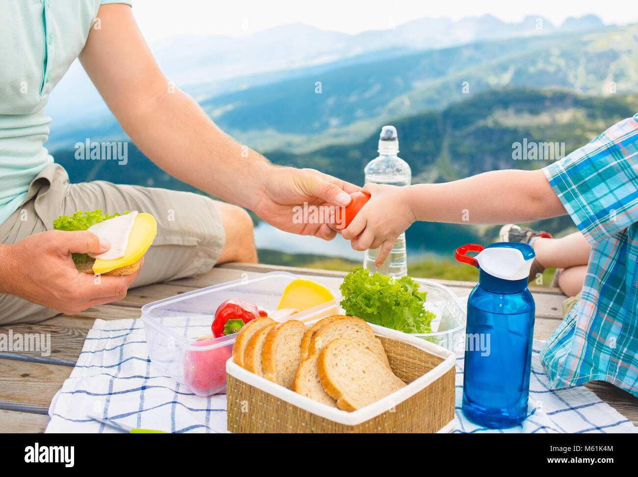 Famille sur un pique-nique dans les montagnes Banque D'Images