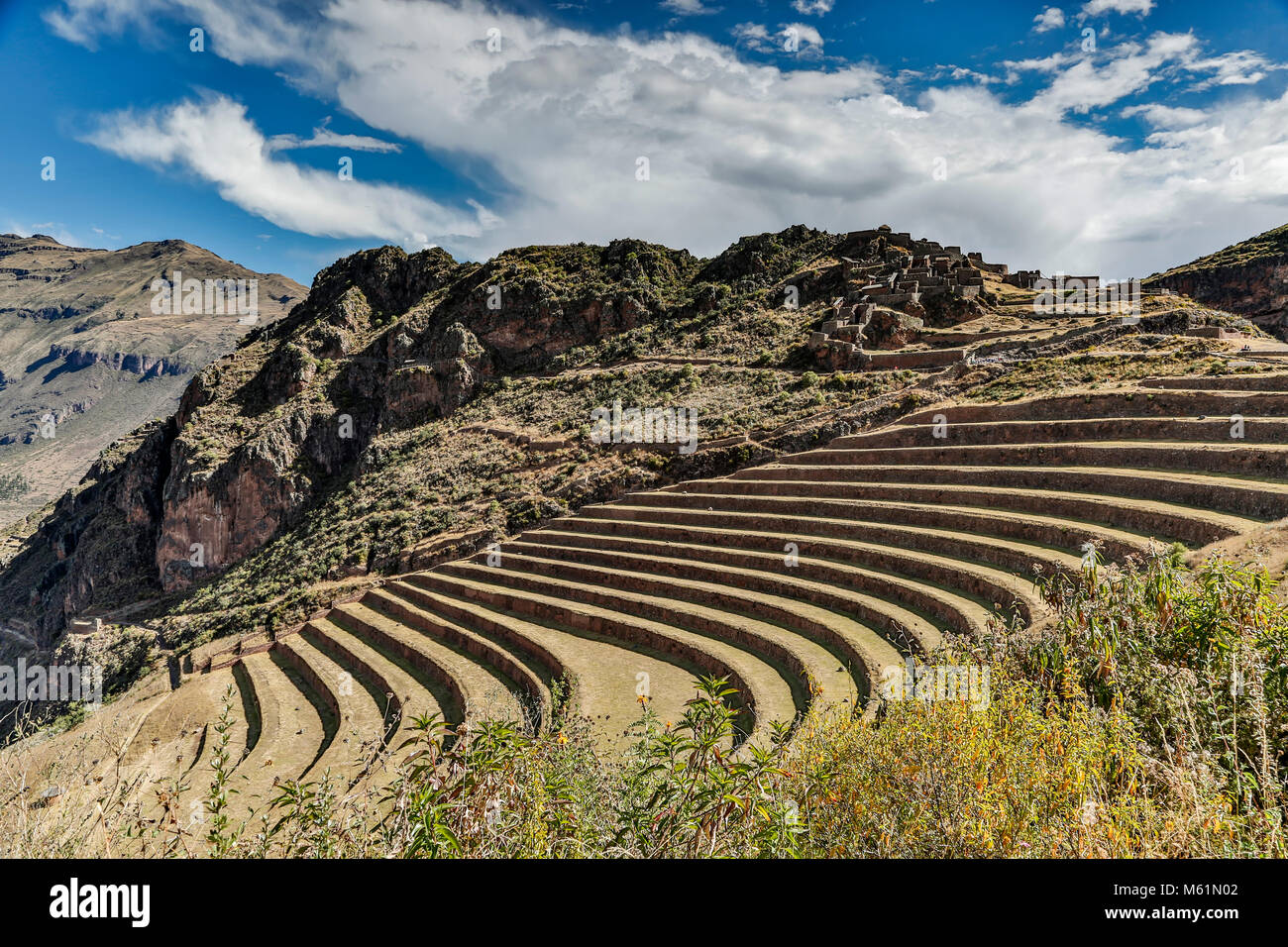 Terrasses agricoles et Q'Allaqasa (secteur résidentiel), les ruines de Pisac, Pisac, Cusco, Pérou Banque D'Images