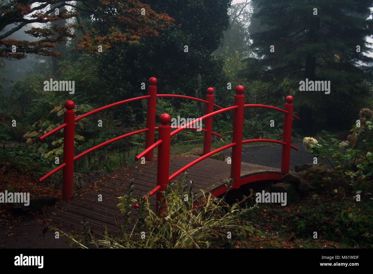 Pont Rouge magique dans la forêt Banque D'Images