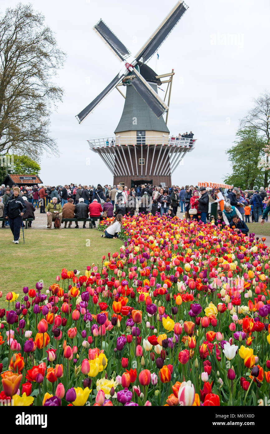 Keukenhof, Pays-Bas - 21 Avril 2017 : Ancien moulin avec beaucoup de gens dans le célèbre jardin de Keukenhof. Banque D'Images