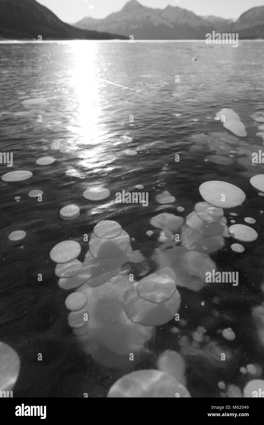 Le Lac Abraham Frozen Bubbles Banque D'Images
