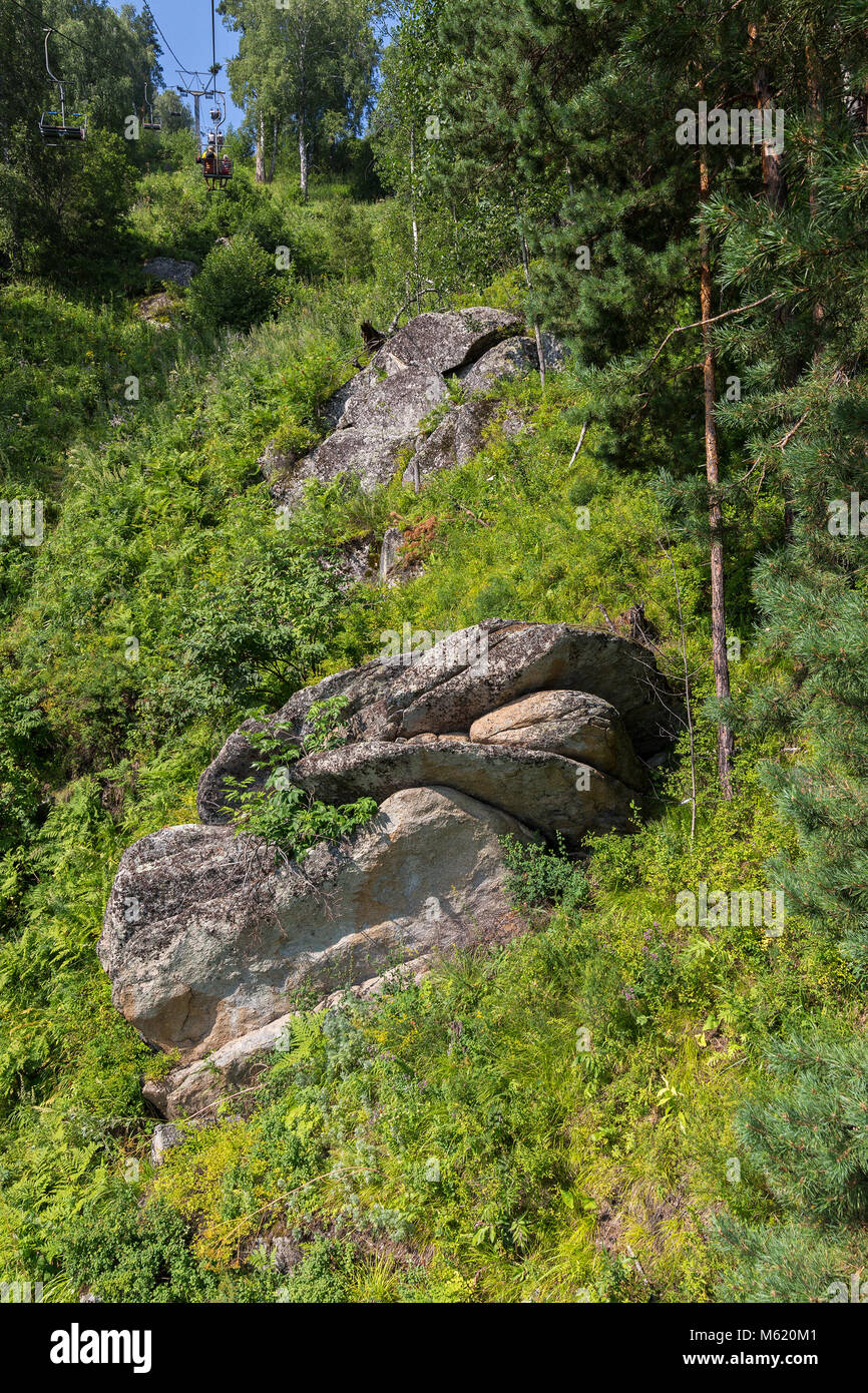 Pente de montagne avec des blocs de pierre dans la région de l'Altaï en été Banque D'Images