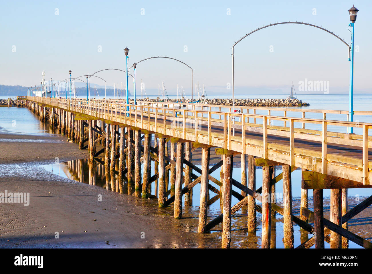 La marée basse à la célèbre 1 500 pi de long jetée en bois dans la région de White Rock, C.-B., entourant la baie Semiahmoo près de Vancouver. Banque D'Images