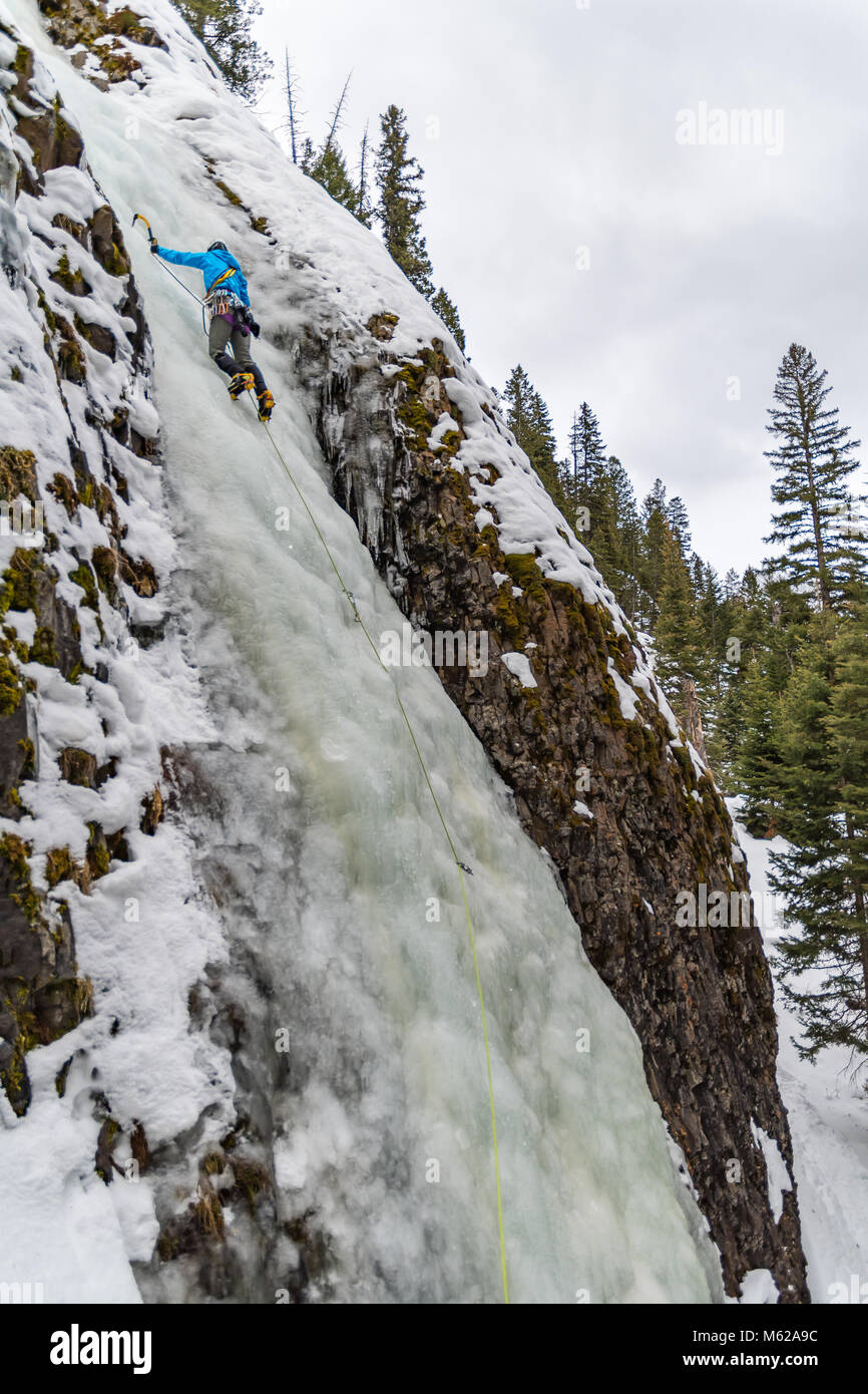 Noelle Synder escalade un itinéraire appelé inférieur vert manches WI3 dans Hyalite Canyon Banque D'Images