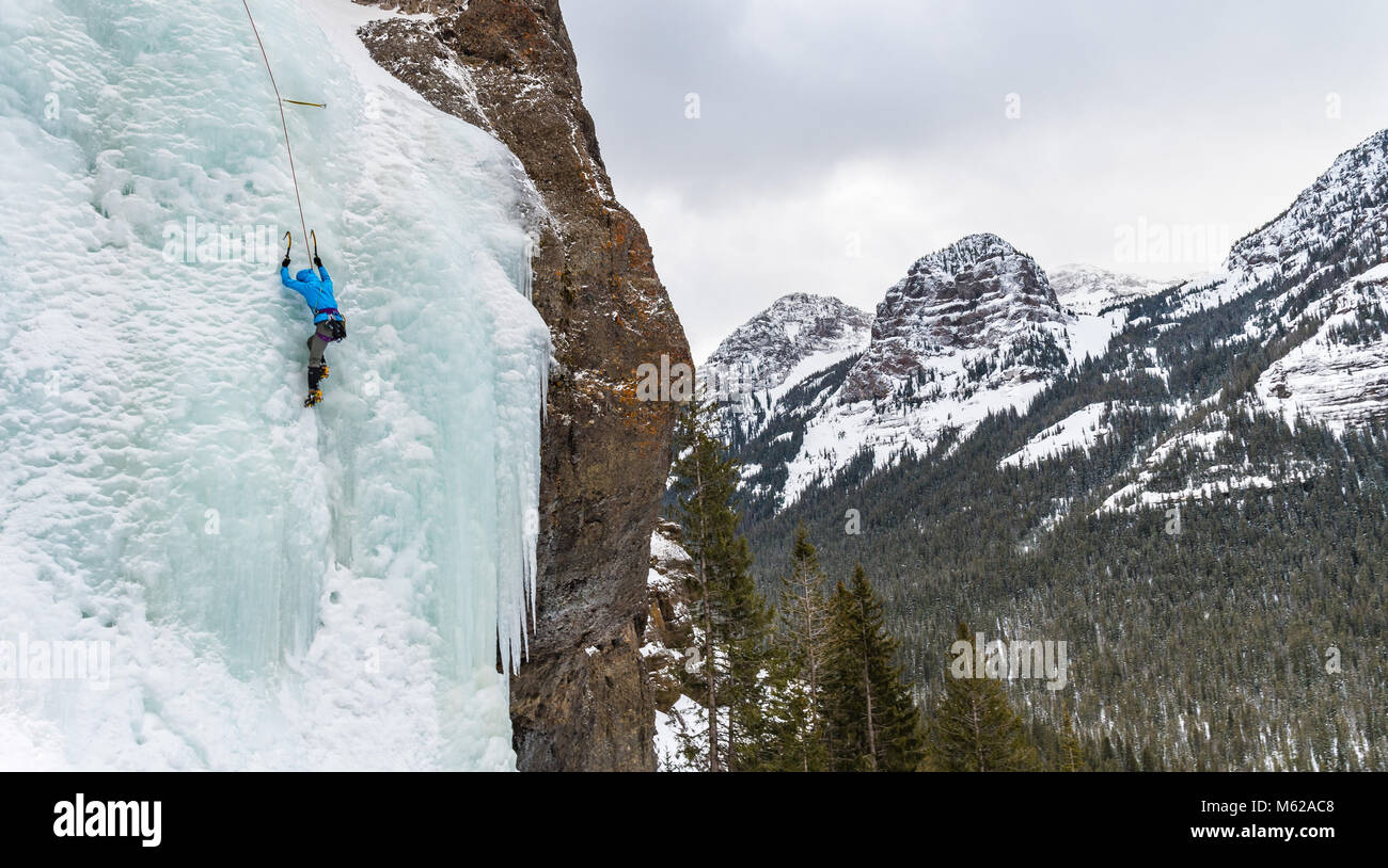 Noelle Synder escalade un itinéraire appelé plus facile WI3 dans Hyalite Canyon Banque D'Images