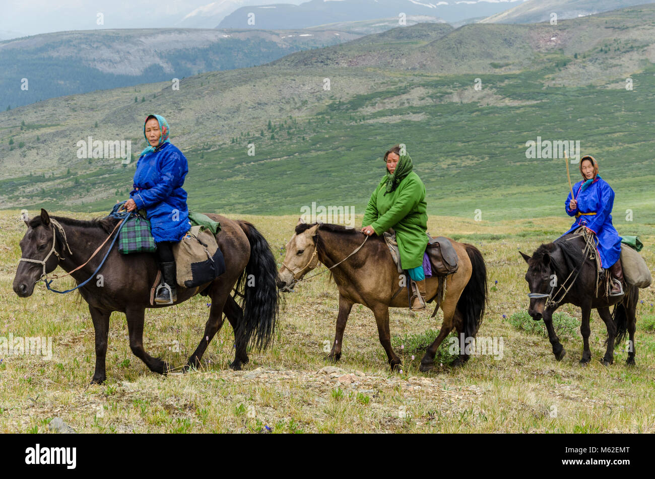 La vie Tsaatan, gardien de rennes, Tsaaganuur, Mongolie Banque D'Images