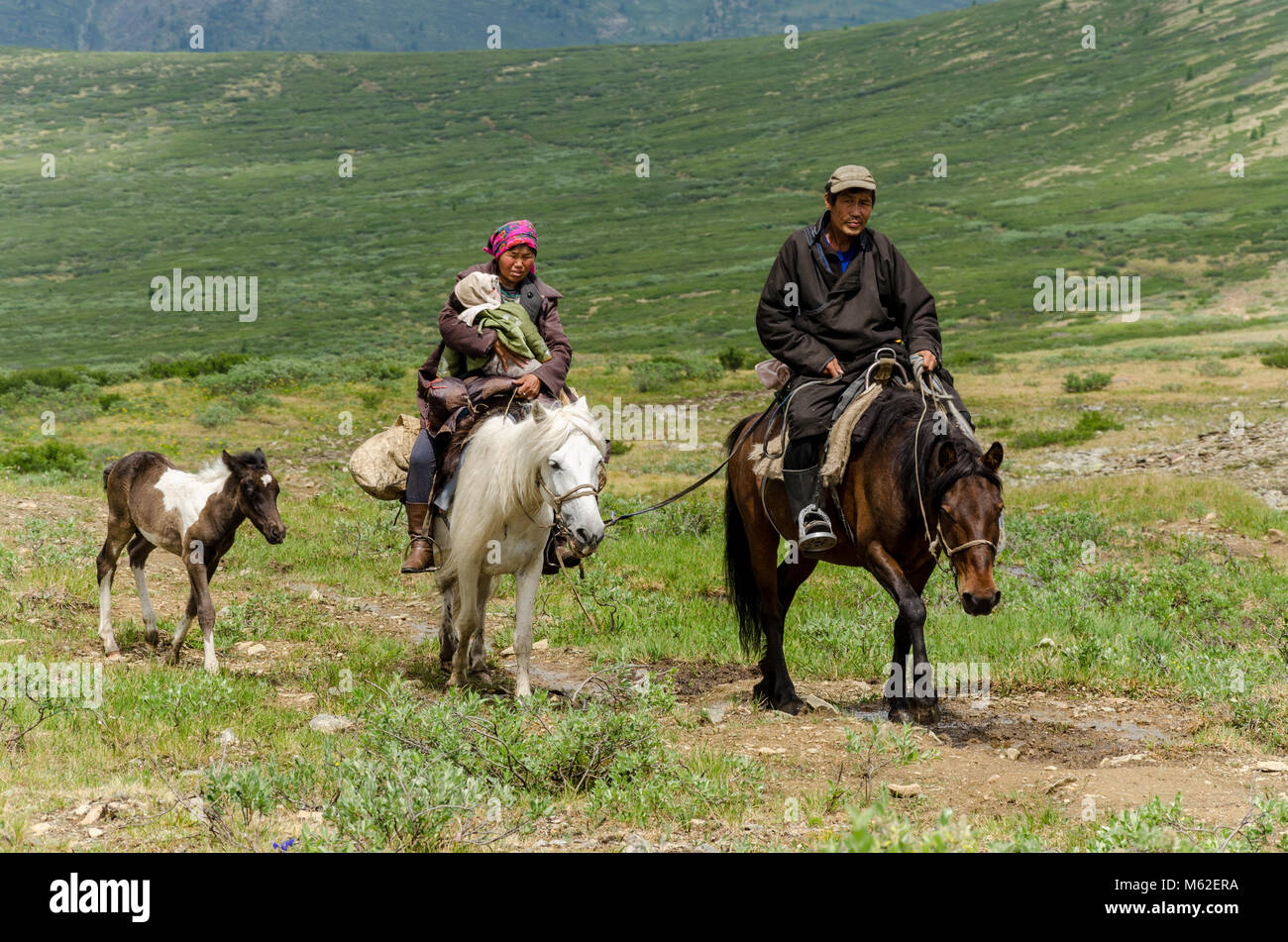 La vie Tsaatan, gardien de rennes, Tsaaganuur, Mongolie Banque D'Images